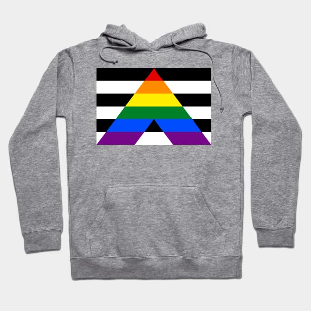 Straight Ally Flag Hoodie by sovereign120